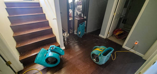 Best Water damage restoration experts  in Ranchettes, WY
