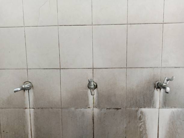Best Commercial water damage restoration  in Ranchettes, WY