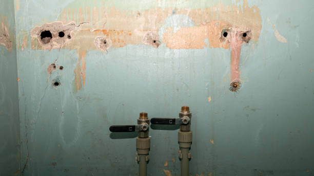 Best Water damage restoration cost  in Ranchettes, WY