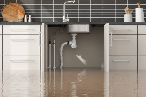 Best Water damage restoration near me  in Ranchettes, WY